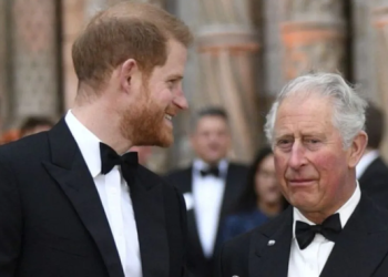 Princi Harry akuzon zyrtarët e pallatit mbretëror: Po shaktërrojnë përpjekjet për tu rilidhur me Mbretin Charles