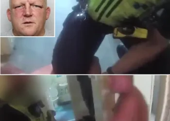 Tmerr në Angli/ Krimineli i armatosur me thikë qëllon policin në mes të arrestimit, kolegët e neutralizojnë me forcë