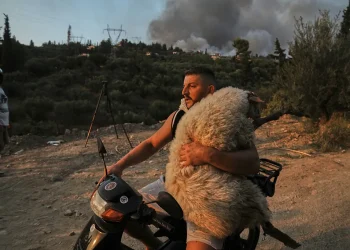 Shpëtoi delen nga zjarret në Greqi, fotoja e shqiptarit në listën e 12-të më të mirave për 2025-ën