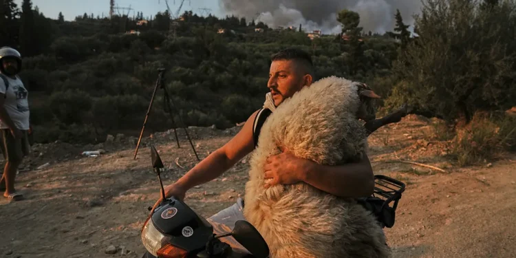 Shpëtoi delen nga zjarret në Greqi, fotoja e shqiptarit në listën e 12-të më të mirave për 2025-ën