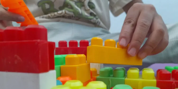 Dy të arrestuar për sulm kibernetik ndaj zinxhirit të çerdheve