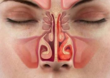 Zbulimi britanik, temperatura e hundës tregon nivelin e stresit