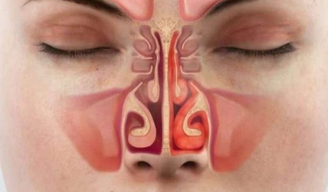 Zbulimi britanik, temperatura e hundës tregon nivelin e stresit