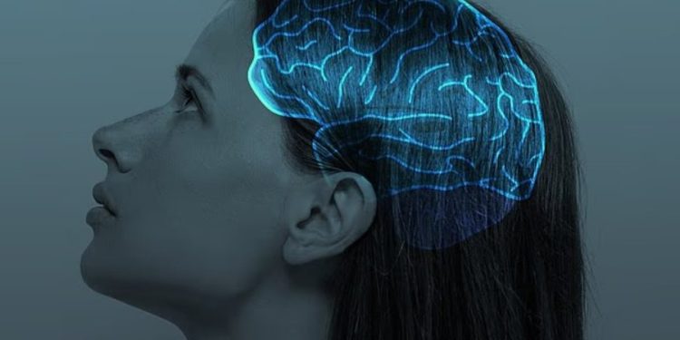 E thonë shkencëtarët: Kjo është mosha kur truri punon më mirë