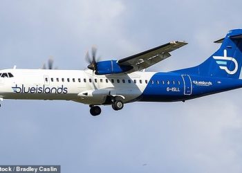 Fiket motori i avionit në 4 mijë metra lartësi, dramë në ajër