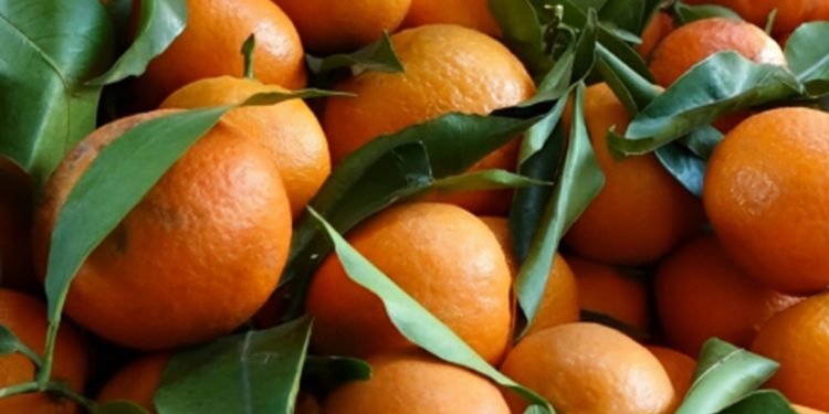 Mandarina me helm në treg 