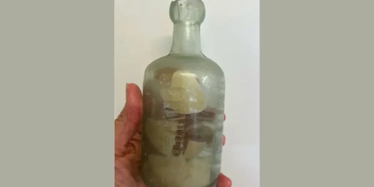 Sekreti që deti ruajti mbi 100 vjet, gjenden në bregun australian mesazhet në shishe të dy ushtarëve të Luftës së Parë Botërore