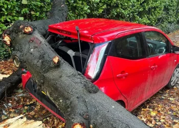 Mijëra njerëz ende pa energji elektrike ndërsa stuhia Amy përshkon Irlandën e Veriut