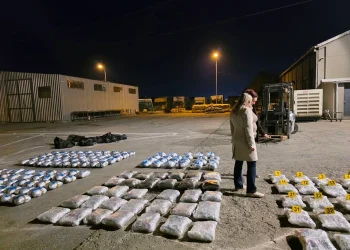 I gjenden në kamion mbi 200 kilogramë narkotikë, arrestohet shoferi në Prishtinë