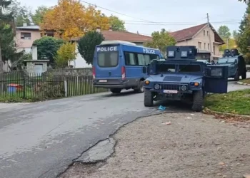 Pamje nga bastisjet në veri – forca të shumta policore në 9 lokacione