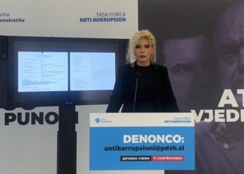 PD: Nadir Çausholli, nga manipulimet në tregun farmaceutik, tek ndërtimi i hotelit luksoz në Shkëmbin e Kavajës me Visin e Pojës