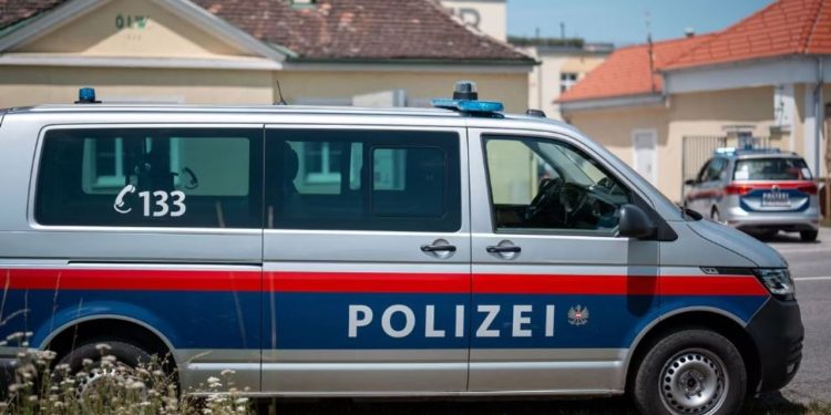 Gjenden në frigorifer trupat e një 34-vjeçareje dhe vajzës së saj, arrestohen dy vëllezër