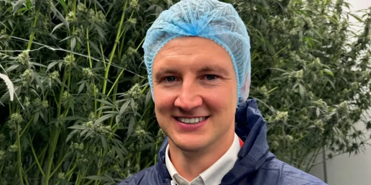 Brenda fabrikës ‘sekrete’ të kanabisit medicinal prej 10 milionë funtesh në Mbretërinë e Bashkuar