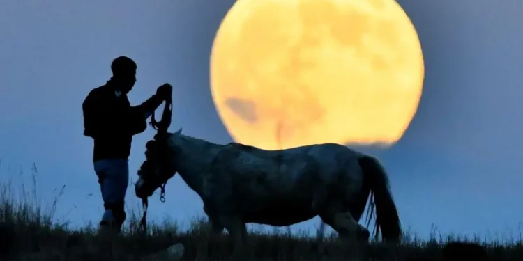 Në foto: Superhëna e së mërkurës Beaver e kapur nëpër botë