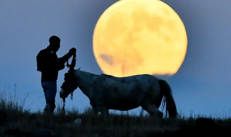 Në foto: Superhëna e së mërkurës Beaver e kapur nëpër botë