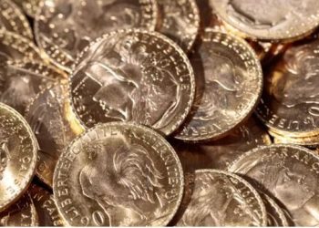 Zbulon ar me vlerë 700,000 euro teksa gërmonte në kopshtin e tij