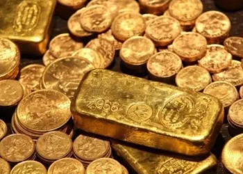 VIDEO/ Po gërmonte për një pishinë, gjen thesarin në oborr