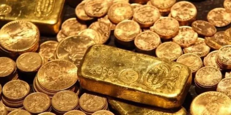 VIDEO/ Po gërmonte për një pishinë, gjen thesarin në oborr