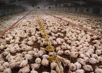 VIDEO/ Pamje dhe detaje nga sekuestrimi i narko-nëndetëses me 1.7 ton kokainë