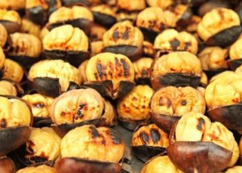 Çfarë i ndodh organizmit kur konsumoni gështenja të pjekura 