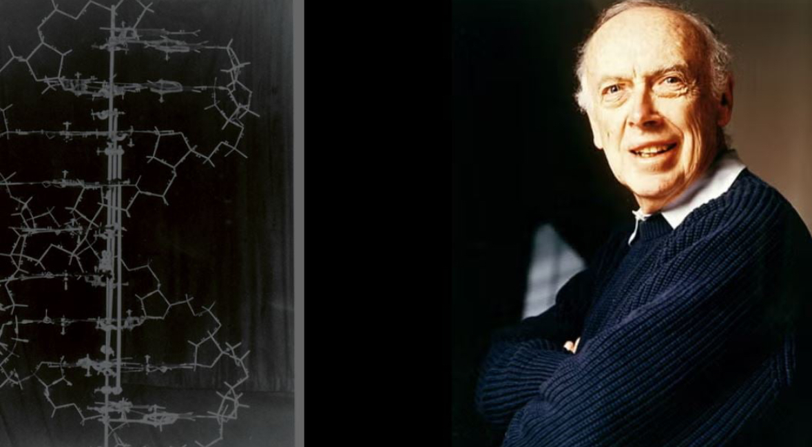 Vdes në moshën 97 vjeçare James Watson  shkencëtari që zbuloi ADN dhe deshifroi kodin e jetës