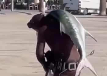 E rrallë në Vlorë/ Vlonjati kap peshkun ton, e merr në krahë dhe e çon në shtëpi 