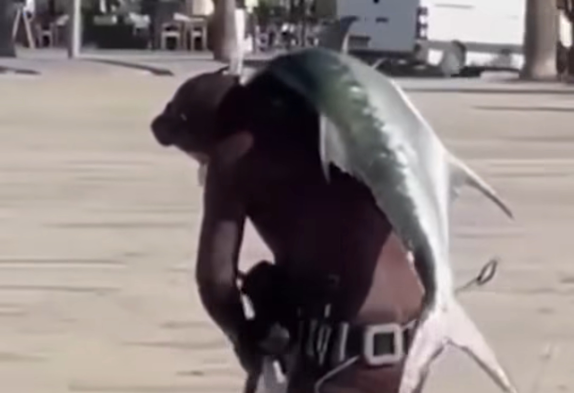 E rrallë në Vlorë  Vlonjati kap peshkun ton  e merr në krahë dhe e çon në shtëpi