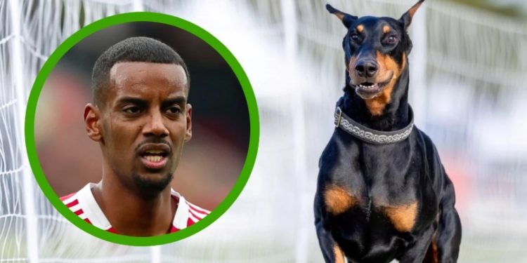 Sulmuesi i Liverpool Isak, bleu një ‘qen roje’ për 30 mijë stërlina pasi mori kërcënime me vdekje