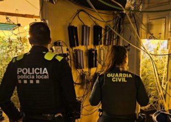 Spanjë/ Shkatërrohet plantacioni i kanabisit, prangoset i riu shqiptar 