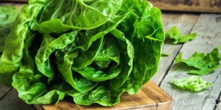 Miliona dollarë drogë gjendet në sallatë jeshile në kufirin SHBA-Meksikë 