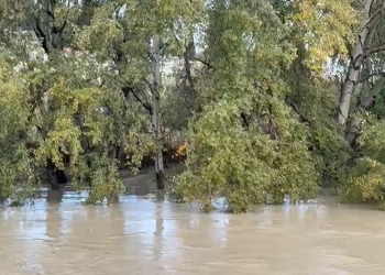 Vjosa arrin pikën kritike, ekipet e emergjencave në gatishmëri, evakuohen 11 familje të rrezikuara në të dy anët e lumit