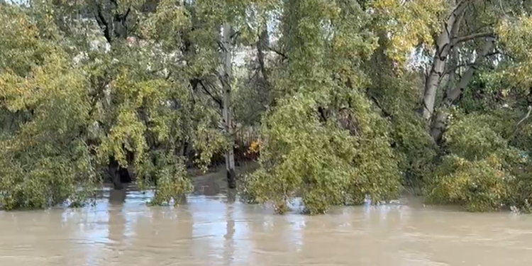 Vjosa arrin pikën kritike, ekipet e emergjencave në gatishmëri, evakuohen 11 familje të rrezikuara në të dy anët e lumit