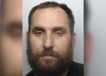 Polici anglez nuhati erën e kanabisit, i zbuloi 500 rrënjë “jeshile” shqiptarit, dënohet me 1 vit burg