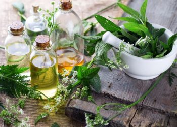 Fuqitë shëruese të natyrës – Si bimët medicinale ndihmojnë shëndetin