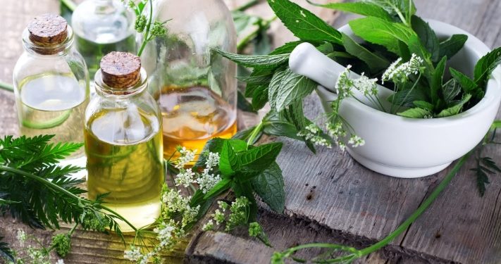 Fuqitë shëruese të natyrës – Si bimët medicinale ndihmojnë shëndetin