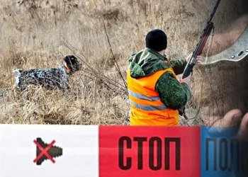 Dolën për gjueti dhe nga pakujdesia vrau shokun e vet, kallëzim penal ndaj personit të dyshuar