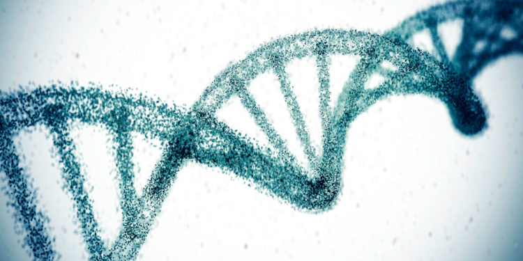 Studimi: Terapia gjenetike mund të ulë përgjithmonë kolesterolin e lartë