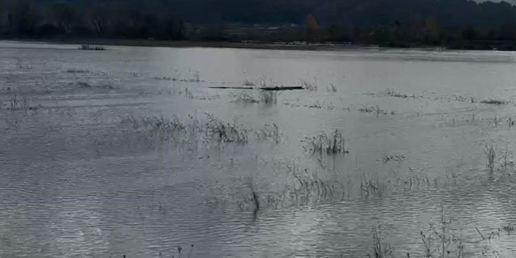 Përmbytje, rrëshqitje dherash e bllokime rrugësh, ja zonat më problematike nga reshjet në Shqipëri
