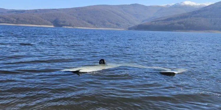 Rrëzohet avioni sportiv në Maqedoninë e Veriut, lëndohen dy shqiptarë