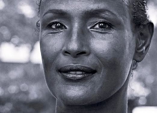 Lule e Shkretëtirës