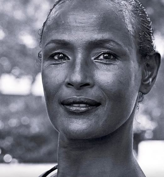 Lule e Shkretëtirës