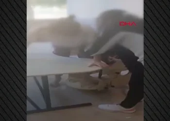 Pamje të rënda/ Skandal në shkollën e fëmijëve me nevoja të veçanta! Nxënësit lidhen nëpër banka me litarë gjatë orës së mësimit