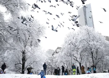 Stuhia e dëborës “ngrin” New Yorkun, anulohen mbi 1,600 fluturime