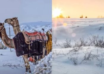 E pazakontë, shkretëtira arabe zbardhet nga dëbora pas 30 vitesh (Video)