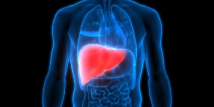 Çfarë duhet të konsumoni për të pastruar mëlçinë? Ja ushqimet që rekomandojnë ekspertët