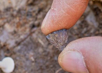 Zbulimi: Njerëzit e ndezën zjarrin 350.000 vjet më herët nga sa mendohej