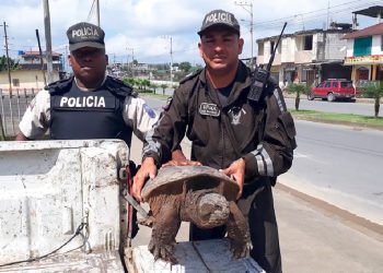 Sekuestrohen 30 mijë kafshë dhe 10 tonë bimë, INTERPOL godet tregtinë e errët