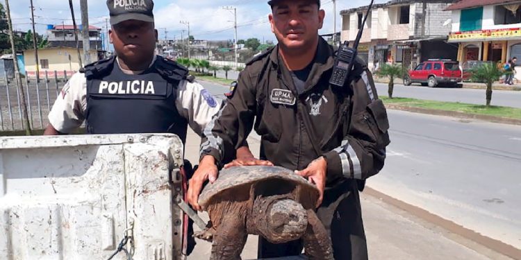 Sekuestrohen 30 mijë kafshë dhe 10 tonë bimë, INTERPOL godet tregtinë e errët