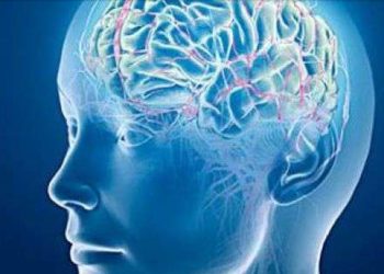 Shkenca rrëzon mitin e moshës 18? Truri i njeriut nuk piqet plotësisht deri në moshën…