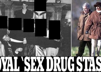 Zbulohet: ‘Droga seksuale e fshehur në banjo’ në festën ku u bë fotografia e Andrew nga Epstein Files